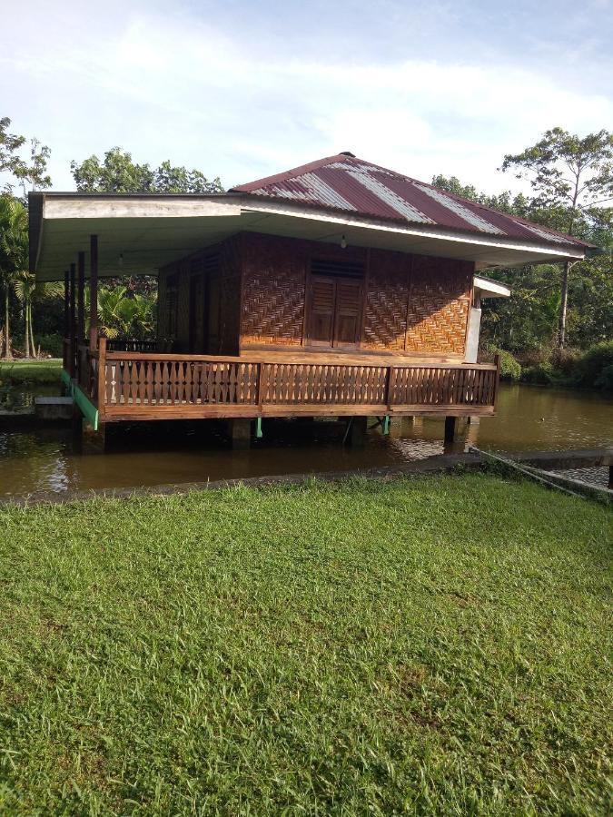 塔卡瀚绿色山林小屋 Tangkahan 外观 照片