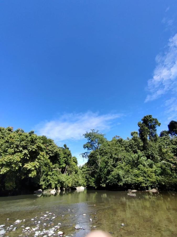 塔卡瀚绿色山林小屋 Tangkahan 外观 照片