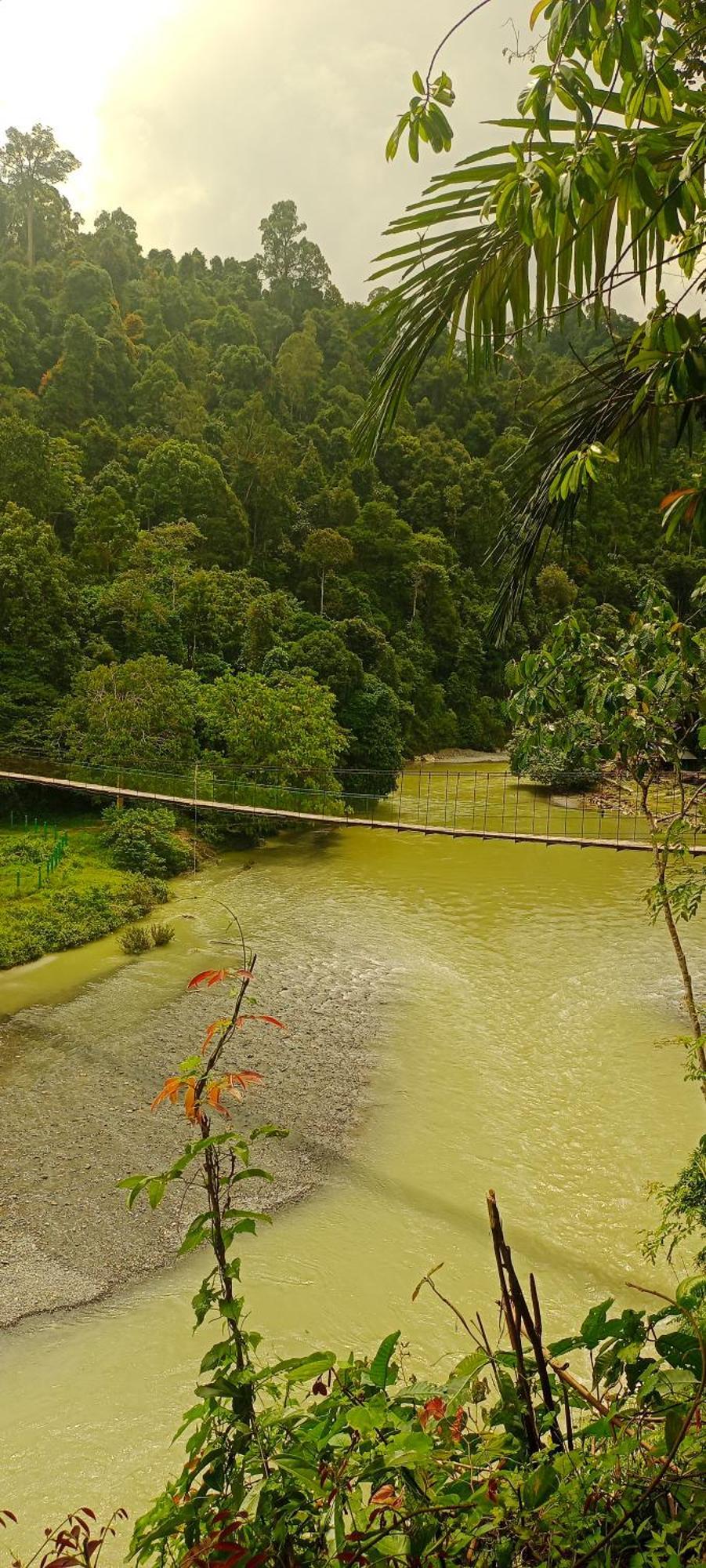 塔卡瀚绿色山林小屋 Tangkahan 外观 照片