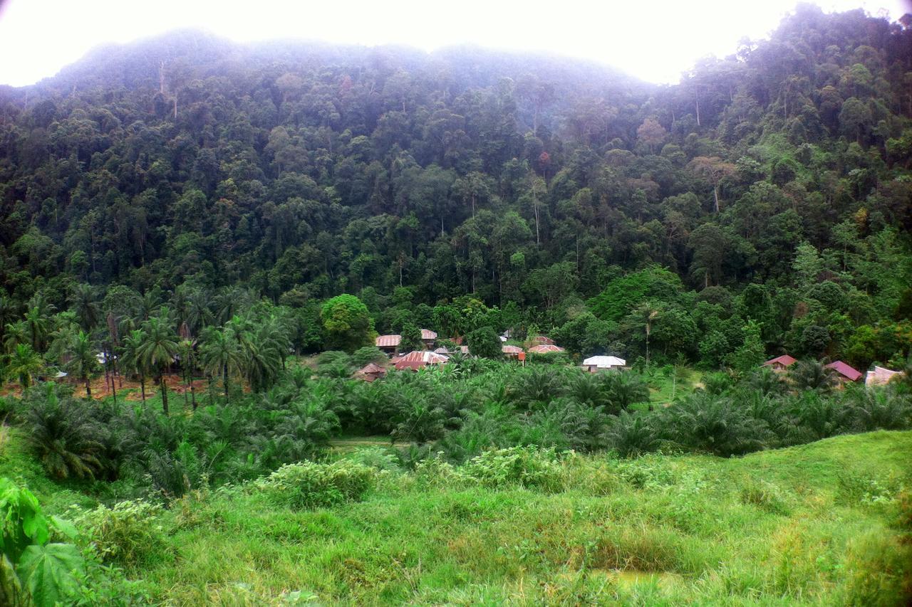 塔卡瀚绿色山林小屋 Tangkahan 外观 照片