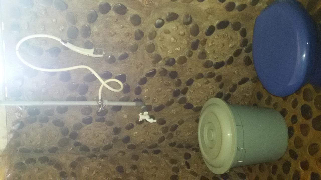 塔卡瀚绿色山林小屋 Tangkahan 外观 照片