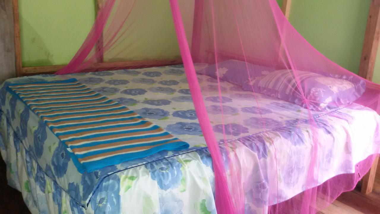 塔卡瀚绿色山林小屋 Tangkahan 外观 照片
