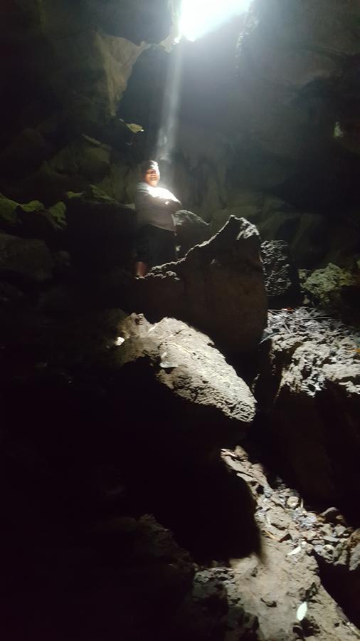 塔卡瀚绿色山林小屋 Tangkahan 外观 照片