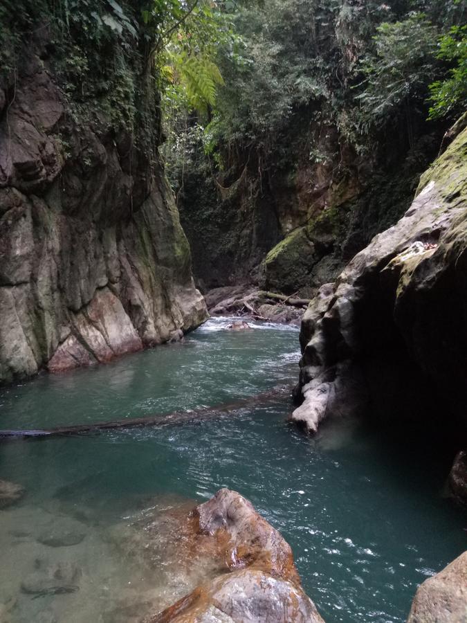 塔卡瀚绿色山林小屋 Tangkahan 外观 照片