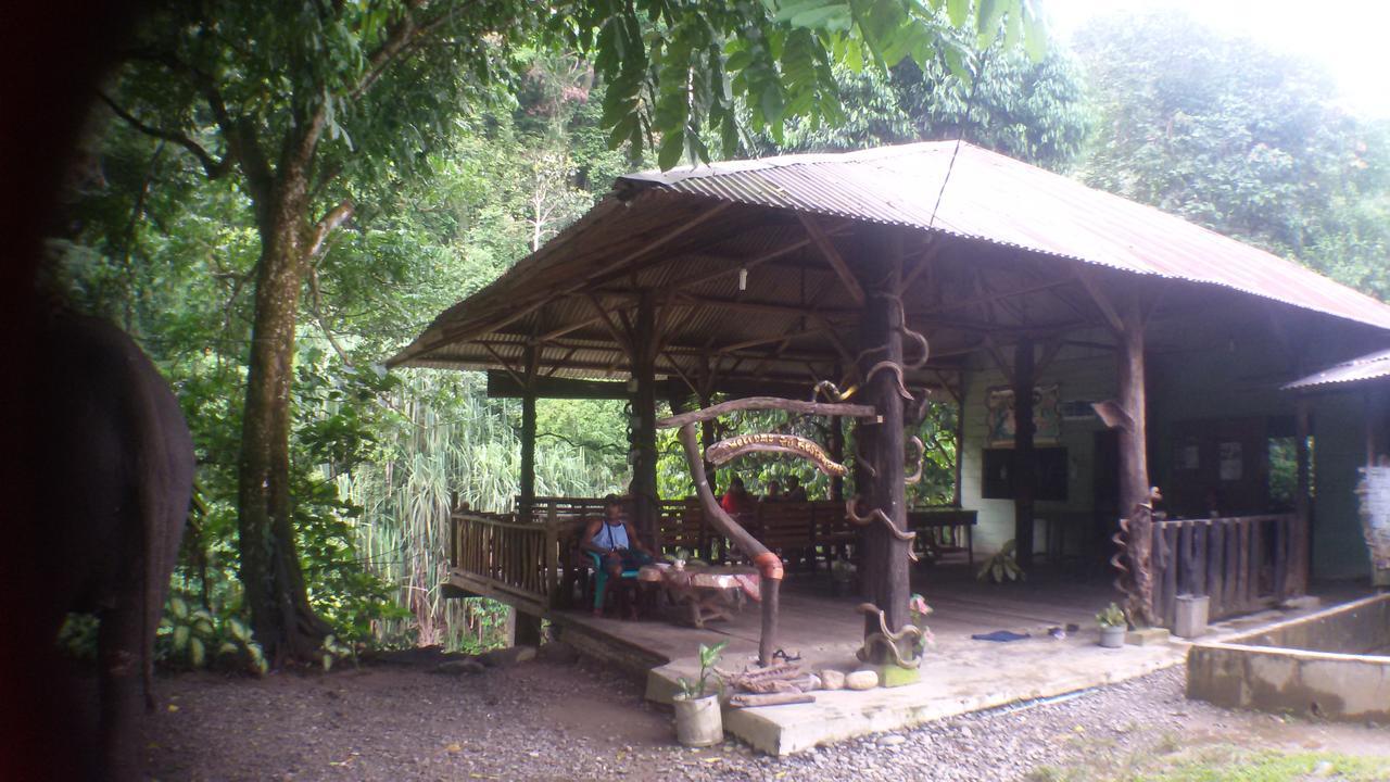 塔卡瀚绿色山林小屋 Tangkahan 外观 照片