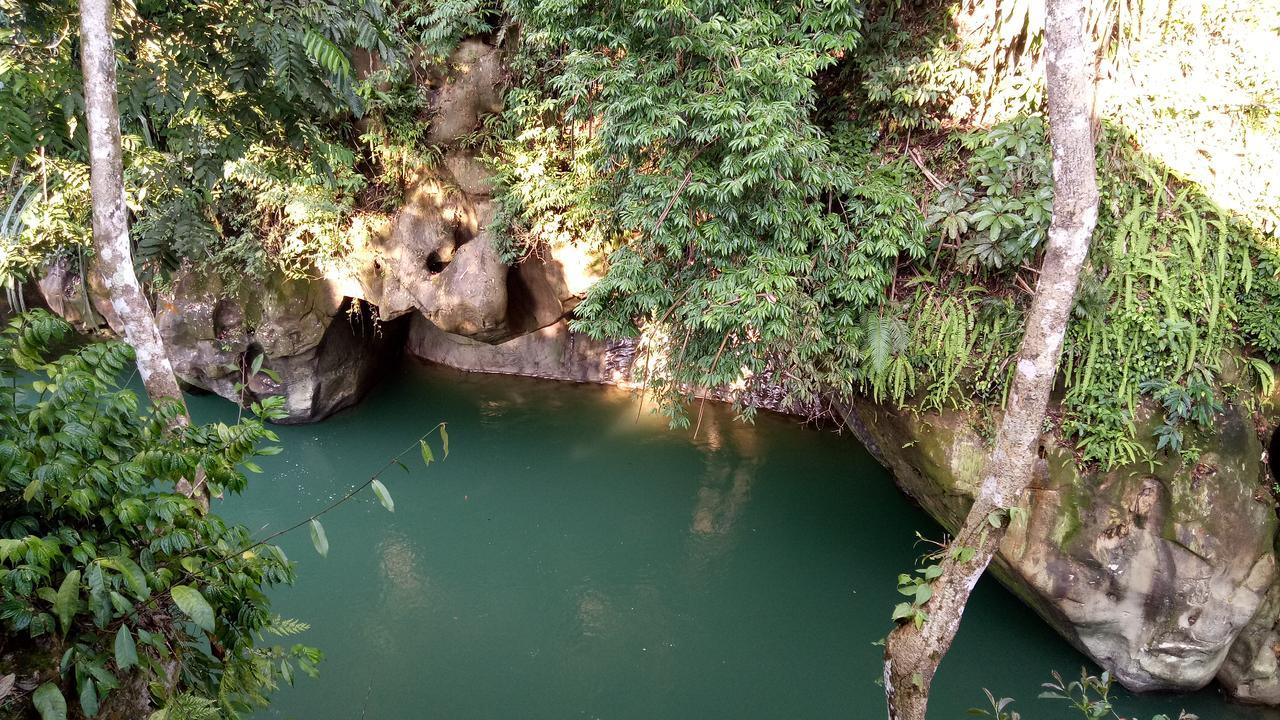 塔卡瀚绿色山林小屋 Tangkahan 外观 照片