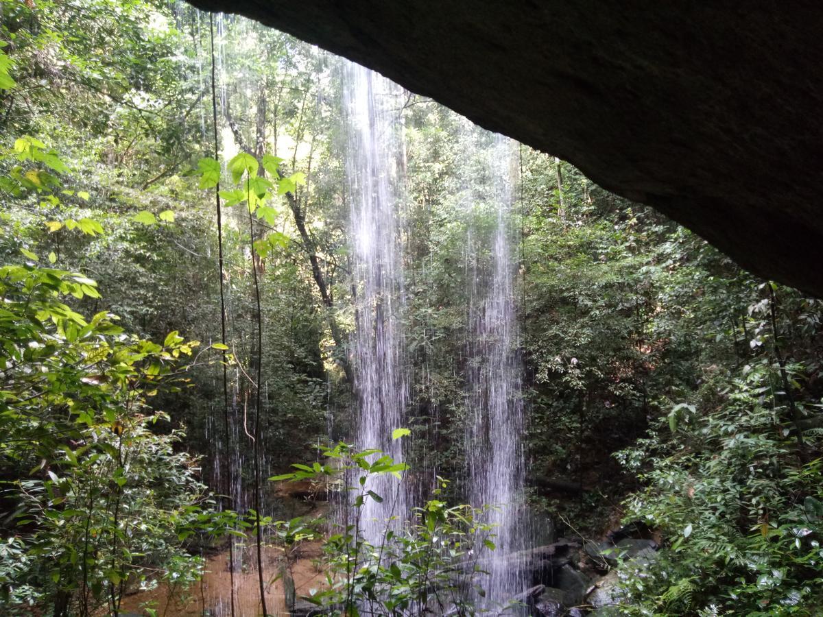 塔卡瀚绿色山林小屋 Tangkahan 外观 照片