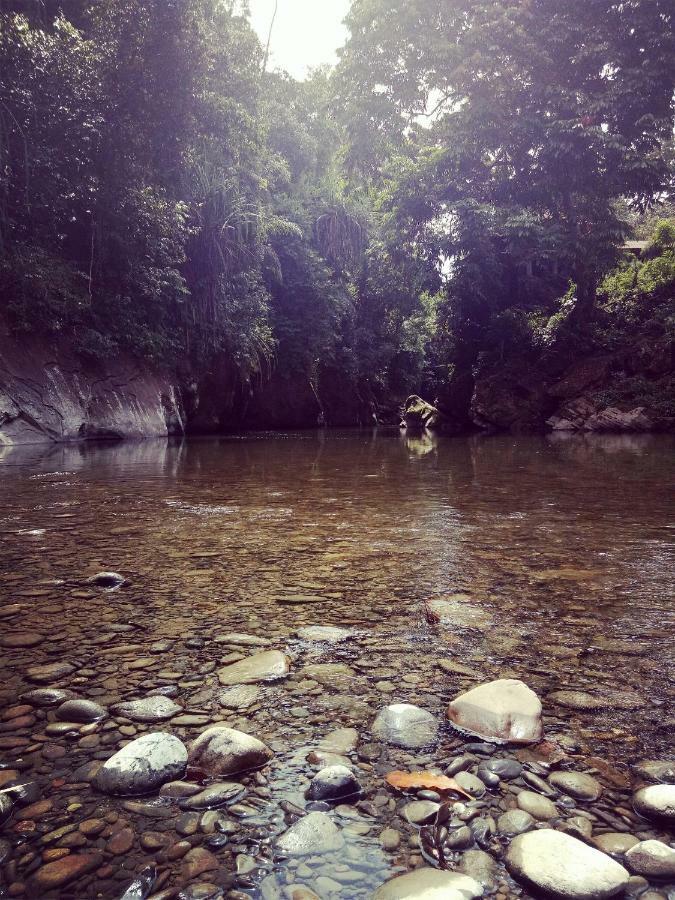 塔卡瀚绿色山林小屋 Tangkahan 外观 照片