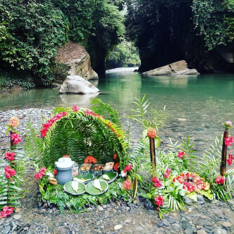 塔卡瀚绿色山林小屋 Tangkahan 外观 照片